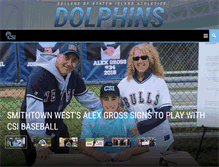 Tablet Screenshot of csidolphins.com